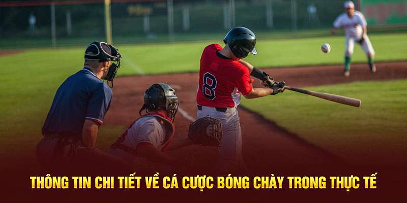 Tổng quan về cá cược bóng chày