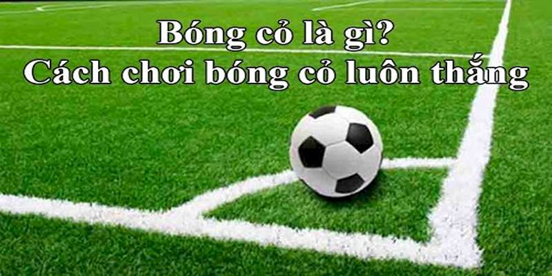 Đặc điểm nổi bật của bóng cỏ