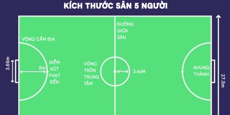 Những yếu tố quan trọng tạo nên sân bóng đá 5 người