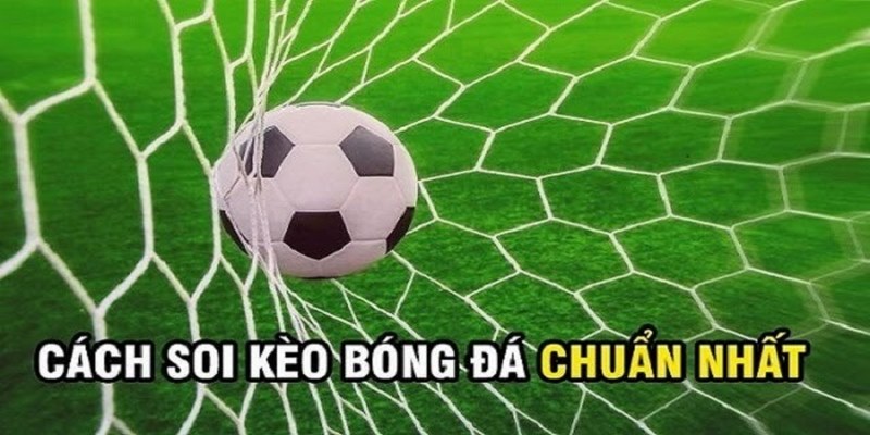 Kinh nghiệm chơi cá độ dựa vào bí kíp soi kèo