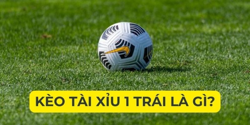 Tìm hiểu tài xỉu 1 trái là gì?