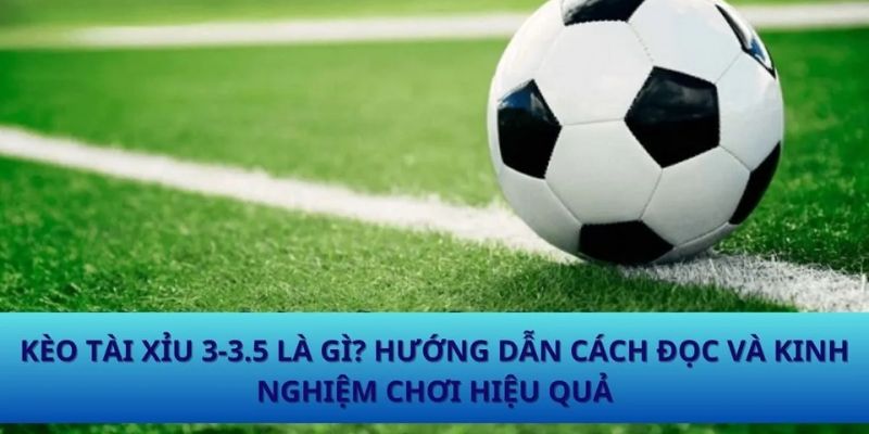 Tìm hiểu cơ bản về kèo tài xỉu 3-3 5