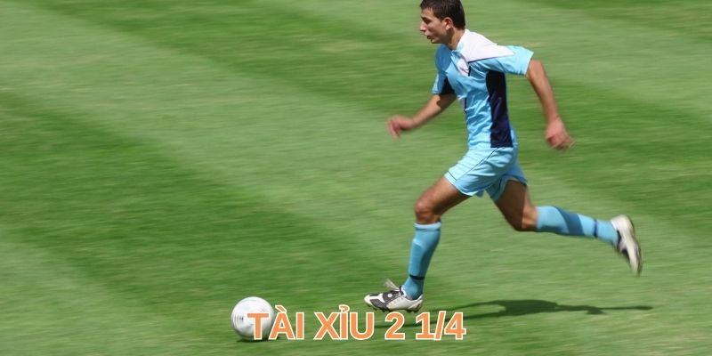 Cách đọc & tính tiền kèo tài xỉu 2 ¼