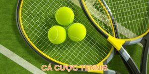 Cá Cược Tennis - Bộ Môn Thể Thao Đắt Khách Số 1 Tại FB88