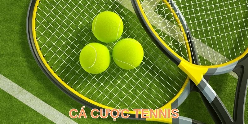 Cá Cược Tennis - Bộ Môn Thể Thao Đắt Khách Số 1 Tại FB88