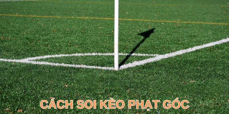 Bật mí cách soi kèo phạt góc dự đoán toàn thắng