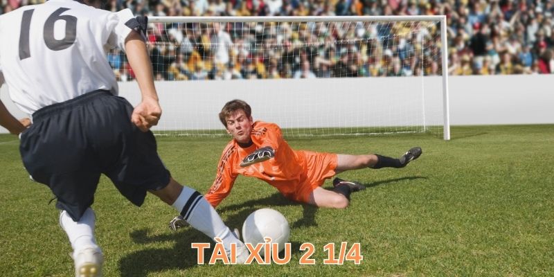 Tài Xỉu 2 ¼ Là Gì? 4+ Phương Pháp Soi Kèo Toàn Thắng