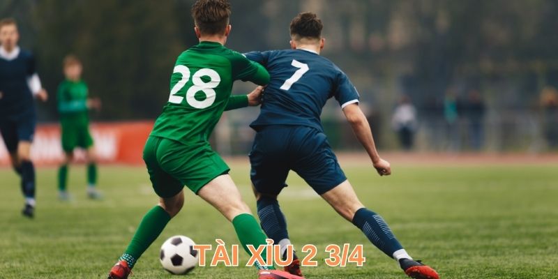 Kinh nghiệm soi kèo tài xỉu 2 ¾ thắng cực đậm
