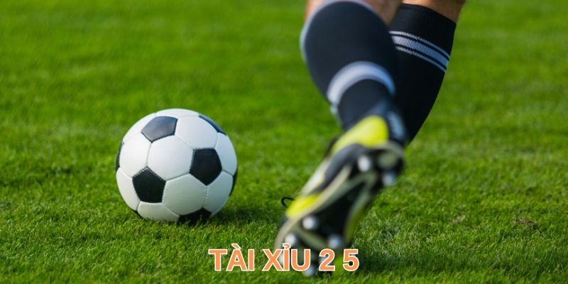 Tài Xỉu 2 5 - Hiểu Cách Đọc Dự Đoán Kết Quả Toàn Thắng
