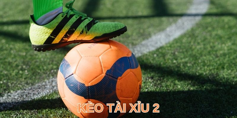 Tài Xỉu 2 Trái Là Gì? Tiết Lộ Cách Đọc Và Dự Đoán Chuẩn