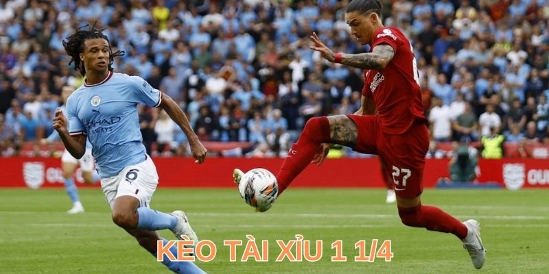 Tài Xỉu 1 ¼ Là Gì? Giải Mã Cách Đọc & Học Bí Kíp Hay