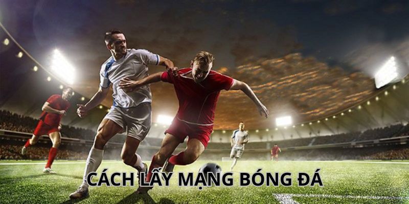 Lấy mạng bóng đá là gì?