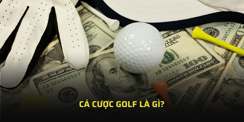 Cá cược golf - Cuốn hút nhờ các giải đấu đỉnh cao