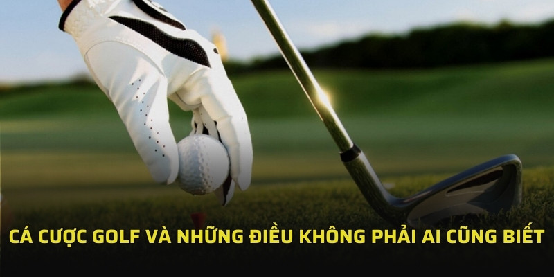 Cá Cược Golf Kịch Tính Với Tỷ Lệ Thưởng Cao Trong Nhiều Giải