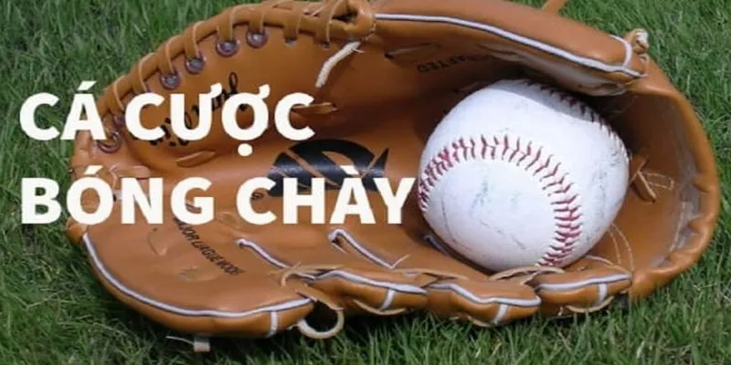Tổng quan về cá cược bóng chày