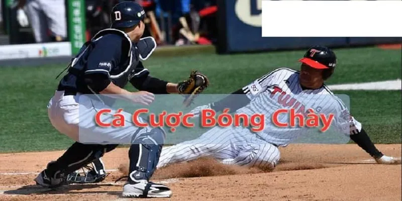 Cá Cược Bóng Chày - Tất Tần Tật Thông Tin Hình Thức Cá Độ