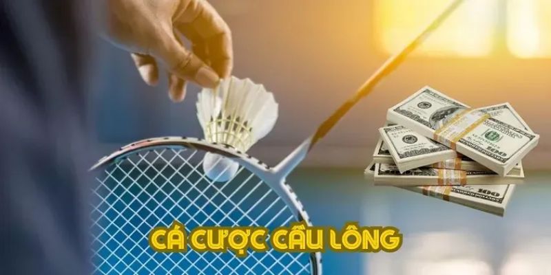Vì sao cá cược cầu lông là lựa chọn được nhiều người tin tưởng?