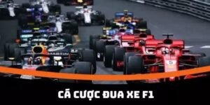 Cá cược F1 trực tuyến mang đến trải nghiệm gay cấn với tỷ lệ hấp dẫn, nhiều lựa chọn đa dạng theo từng chặng đua và cập nhật kết quả nhanh chóng nhất hiện nay. Cá Cược F1 Trực Tuyến Hấp Dẫn Với Tỷ Lệ Kèo Cạnh Tranh Nhất Cá cược F1 trực tuyến không chỉ là một hình thức đua xe giải trí mà còn là nơi để người yêu tốc độ thể hiện tầm nhìn và sự phân tích nhạy bén. Với mỗi chặng đua là câu chuyện riêng, sự kịch tính được đẩy lên đến đỉnh điểm. Fb88 cung cấp những trải nghiệm mới mẻ với tính năng dự đoán phong phú, game cực cuốn. Các hình thức cá cược F1 phổ biến Thế giới đua xe F1 mở ra vô vàn lựa chọn hấp dẫn, với những loại dự đoán phong phú, mang đến sự đa dạng trong từng trải nghiệm. Tùy theo sở thích và mức độ hiểu biết, người tham gia có thể lựa chọn hình thức phù hợp để tăng phần hấp dẫn cho cuộc đua. Cá cược F1 mang đến trải nghiệm tốc độ đỉnh cao từng giây Dự đoán tay đua về nhất Đây là hình thức phổ biến, khi người tham gia lựa chọn tay đua xe mà họ tin sẽ cán đích đầu tiên. Để đưa ra dự đoán chính xác, cần phân tích thành tích gần đây, phong độ mùa giải và độ ổn định của đội đua. Việc nắm bắt cả yếu tố kỹ thuật lẫn tâm lý thi đấu của tay đua sẽ giúp tăng độ tin cậy cho lựa chọn và giảm thiểu rủi ro trong dự đoán. Dự đoán Pole Position Ngoài vị trí về đích, vòng phân hạng (qualifying) cũng là một yếu tố quyết định. Dự đoán ai sẽ giành pole position, vị trí xuất phát đầu tiên. Đây chính là là lựa chọn khác được nhiều người ưa chuộng nhất khi tham gia game này tại nhà cái uy tín hiện đại. Cược theo cặp tay đua Thay vì chỉ chọn người thắng, nhiều người lựa chọn cá cược F1 bằng cách so sánh hai tay đua cụ thể. Ai sẽ về trước? Ai giữ thứ hạng tốt hơn? Đây là hình thức lý tưởng để khai thác hiểu biết sâu sắc về lối chạy, phong độ và sự ổn định của từng cá nhân trong điều kiện thi đấu thực tế. Cá cược F1 với đa dạng lựa chọn dự đoán hấp dẫn Yếu tố ảnh hưởng đến kết quả cá cược F1 Trước khi đưa ra lựa chọn, việc nắm rõ các yếu tố tác động là điều cần thiết. Trong F1 tốc độ xe, mọi biến số đều có thể làm thay đổi cục diện chỉ trong vài giây. Chỉ cần một sự cố nhỏ hay quyết định sai lầm từ đội ngũ kỹ thuật cũng đủ để đảo lộn mọi dự đoán, khiến kết quả trở nên khó lường hơn bao giờ hết. Phong độ tay tốc độ và đội ngũ kỹ thuật: Không thể bỏ qua yếu tố con người. Phong độ tay đua, sự phối hợp của đội ngũ kỹ thuật, cũng như tốc độ phản ứng của đội pit là yếu tố then chốt. Một tay đua giỏi chưa chắc chiến thắng nếu đội hỗ trợ không vận hành trơn tru. Đặc điểm trường đua: Mỗi trường đua có đặc thù riêng về địa hình, chiều dài, góc cua, điều kiện thời tiết. Một đội đua có thể mạnh ở chặng này nhưng yếu ở chặng khác. Điều này buộc người tham gia cá cược F1 phải liên tục cập nhật thông tin. Lý do nhiều người lựa chọn cá cược F1 Không chỉ vì phần thưởng hấp dẫn, cá cược còn là trải nghiệm kết nối niềm đam mê với tốc độ và tư duy chiến lược. Đó là hành trình mà mỗi quyết định đều mang theo nhịp đập hồi hộp, nơi cảm xúc thăng hoa cùng từng khúc cua nghẹt thở của đường đua. Cảm giác chân thực khi theo dõi từng vòng đua: Mỗi quyết định vượt mặt, mỗi lần pit stop đều khiến tim đập nhanh hơn. Khi kết quả liên quan trực tiếp đến dự đoán của bạn, việc theo dõi tốc độ xe trở nên sống động hơn bao giờ hết. Phát triển tư duy phân tích và kỹ năng ra quyết định: Người tham gia không chỉ dựa vào cảm tính mà phải nghiên cứu kỹ thông tin để đưa ra quyết định. Đây là cơ hội để rèn luyện tư duy logic và khả năng phân tích dữ liệu một cách nhạy bén. Kinh nghiệm khi tham gia cá cược F1 Việc đưa ra lựa chọn khôn ngoan không chỉ dựa vào may mắn. Một số kinh nghiệm thực tế có thể giúp bạn tối ưu hoá khả năng dự đoán. Đó là sự kết hợp giữa dữ liệu, quan sát tinh tế và cảm nhận thời điểm, những yếu tố mà người có kinh nghiệm luôn biết cách tận dụng hiệu quả. Tìm hiểu lịch sử mùa giải và phong độ gần đây Thống kê lịch sử và phong độ gần đây là nguồn dữ liệu quý giá. Những tay tốc độ có xu hướng thi đấu ổn định thường tạo nên nhà cái an toàn cho lựa chọn của bạn. Việc đối chiếu các chỉ số này qua từng chặng đua giúp bạn nhận diện xu hướng và hạn chế rủi ro trong các quyết định quan trọng. Theo dõi tin tức trước mỗi chặng đua Những thông tin như thay đổi đội ngũ, cập nhật về xe, thời tiết, hay tình hình thể lực tay đua có thể là yếu tố quyết định. Đừng bỏ qua bất cứ chi tiết nào dù là nhỏ nhất. Chính những yếu tố tưởng chừng không đáng kể ấy đôi khi lại là mảnh ghép cuối cùng giúp bạn đưa ra dự đoán chính xác và khác biệt. Cá cược F1 đòi hỏi tư duy chiến lược và phân tích nhạy bén Phân bổ ngân sách hợp lý Dù kết quả có thể mang lại cảm xúc mãnh liệt, người tham gia vẫn nên đặt ra giới hạn hợp lý. Việc quản lý ngân sách chặt chẽ giúp bạn giữ được sự tỉnh táo và không bị cuốn theo cảm xúc. Đó cũng là cách để biến cá cược F1 thành một trải nghiệm bền vững, thay vì một cuộc phiêu lưu đầy rủi ro không kiểm soát. Cá cược F1 là một hành trình đua xe cảm xúc, tư duy và tốc độ, nơi mỗi quyết định đều có thể mang lại bất ngờ. Trên nhà cái Fb88, bạn sẽ được đồng hành cùng đam mê tốc độ xe một cách trọn vẹn, từ những vòng phân hạng nghẹt thở đến khoảnh khắc cán đích nghẹt tim. Sự am hiểu, tinh tế trong phân tích và khả năng ứng biến linh hoạt chính là chìa khóa để làm chủ thế giới tốc độ đầy mê hoặc này. Cá Cược F1 Trực Tuyến Hấp Dẫn Với Tỷ Lệ Kèo Cạnh Tranh Nhất