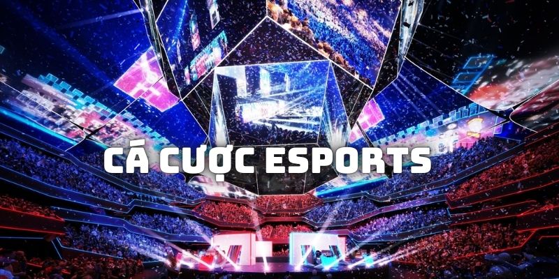 Quy tắc cá cược eSports