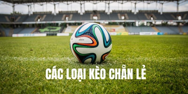 Bật mí chi tiết kỹ năng xem kèo chẵn lẻ cho các tân binh