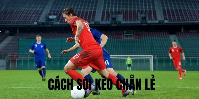 Kinh nghiệm đặt cược chẵn lẻ trong bóng đá hiệu quả nên biết