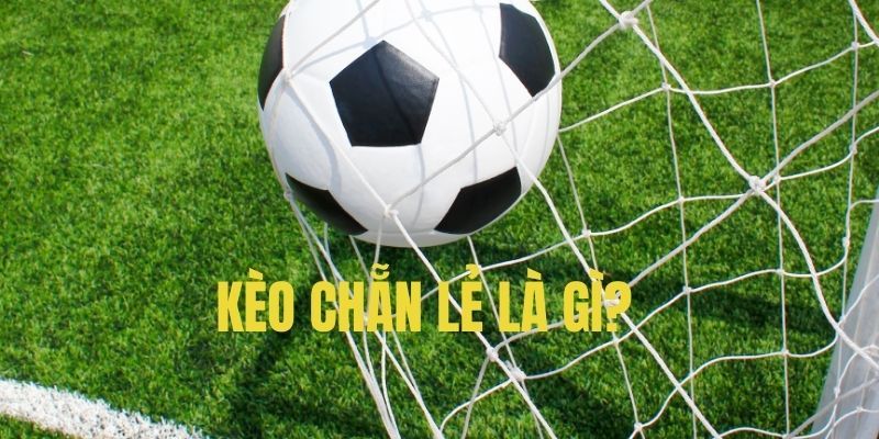 Kèo chẵn lẻ và các thông tin cơ bản hội viên cần biết
