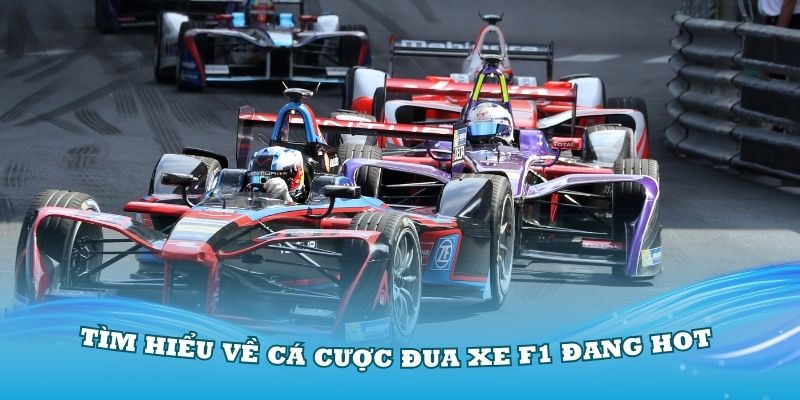 Các hình thức cá cược F1 phổ biến