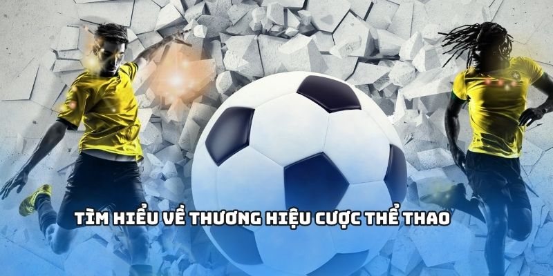 Sơ lược thông tin về cá cược thể thao FB88