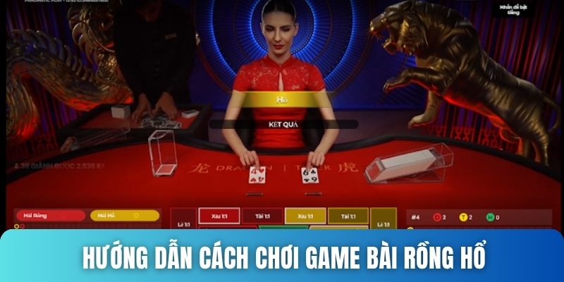 Hướng dẫn chơi bài Rồng Hổ cơ bản cho tân thủ