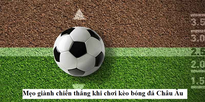 Top 5 bí kíp chơi kèo châu Âu tại FB88 hiệu quả