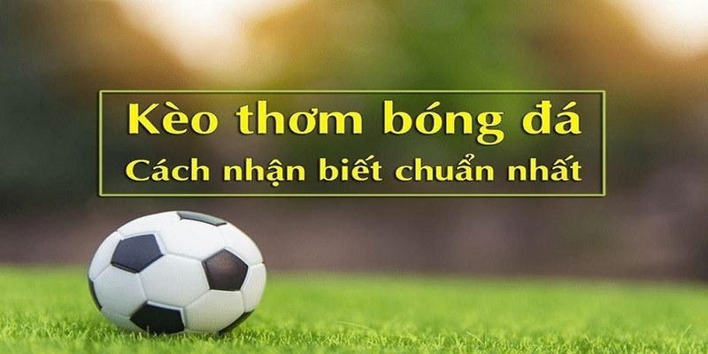 Bật mí mẹo nhận diện kèo thơm từ chuyên gia