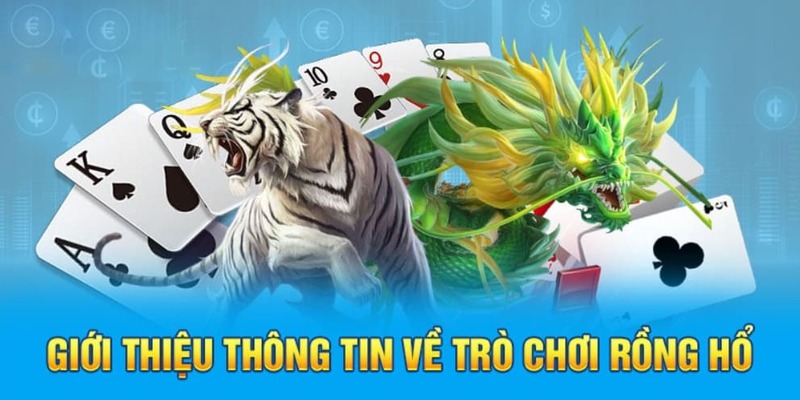 Giới thiệu sơ lược thông tin về Rồng Hổ FB88