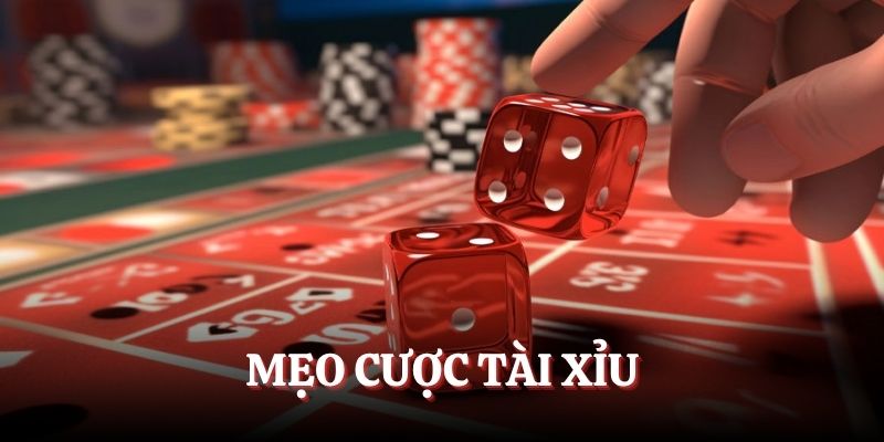 Mẹo Cược Tài Xỉu Tổng Hợp Từ Cao Thủ  - Đầu Tư Là Thắng To