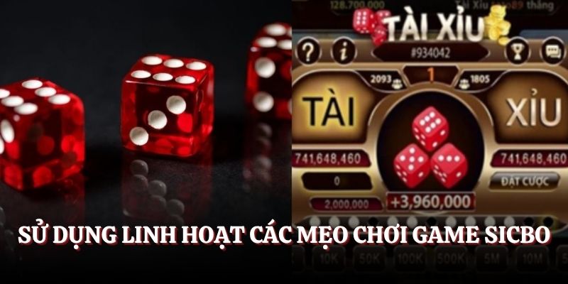 Sử dụng linh hoạt các mẹo chơi game Sicbo