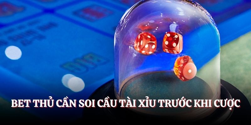 Bet thủ cần soi cầu Tài Xỉu trước khi cược
