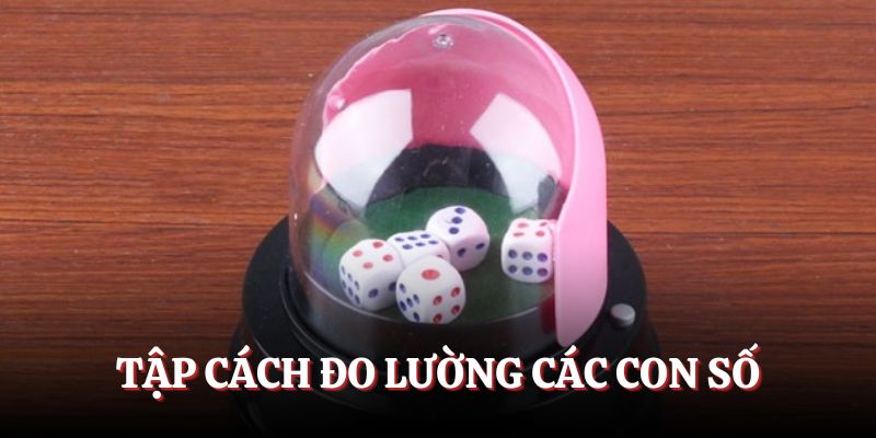 Tập cách đo lường các con số