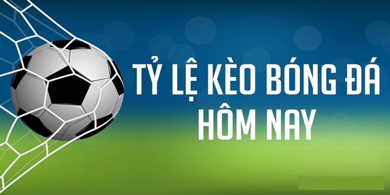 Điểm độc đáo giúp kèo bóng thu hút người chơi