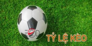 Giới Thiệu Về Tỷ Lệ Kèo Hôm Nay V.League 2023/24