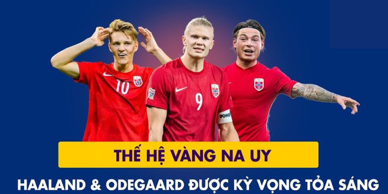 Nhận định na uy là gì?