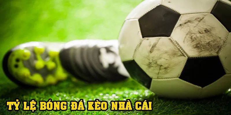Nhận Định Chi Tiết Tỷ Lệ Kèo 88: PSG Vs Dortmund