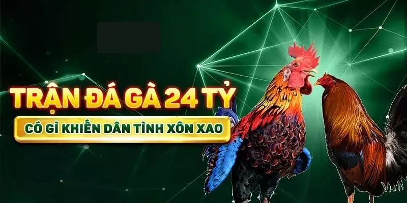 Trận Đá Gà 24 Tỷ - Màn Quyết Chiến Lớn Nhất Lịch Sử