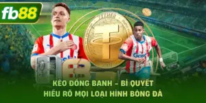 Kèo Đồng Banh - Bí Quyết Hiểu Rõ Mọi Loại Hình Bóng Đá