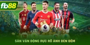 Sân vận động rực rỡ ánh đèn đêm