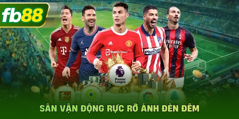 Sân vận động rực rỡ ánh đèn đêm