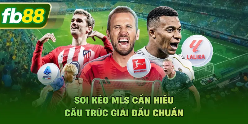 Soi kèo MLS cần hiểu cấu trúc giải đấu chuẩn