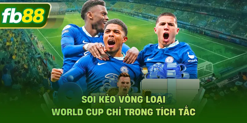 Soi kèo vòng loại World Cup chỉ trong tích tắc