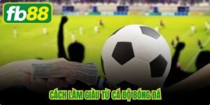 Cách Làm Giàu Từ Cá Độ Bóng Đá