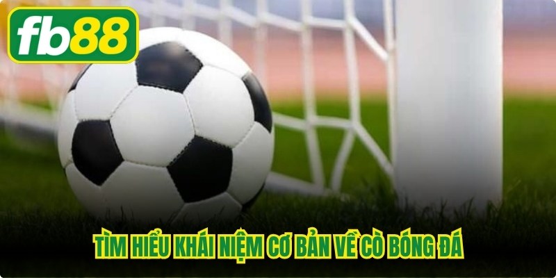 Tìm hiểu khái niệm cơ bản về cò bóng đá