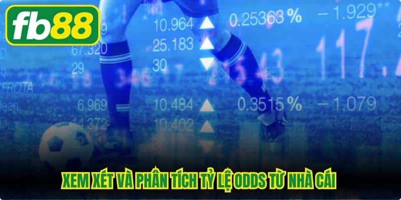 Xem xét và phân tích tỷ lệ Odds từ nhà cái khi chơi cược thắng áp đảo 