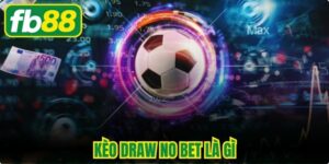 Kèo Draw No Bet Là Gì